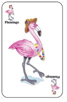 Flamingo