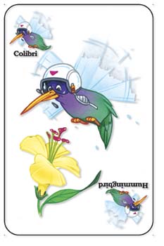 Humingbird