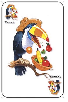 Toucan