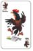 Rooster