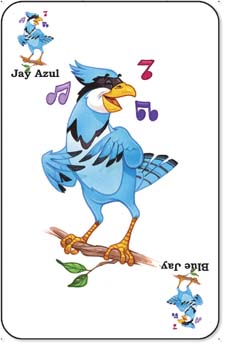 Blue jay