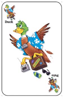 Duck