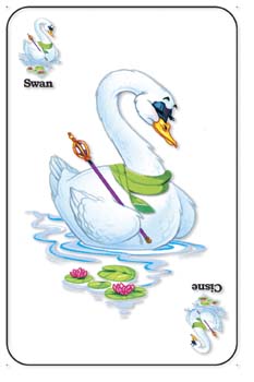 Swan