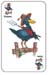 Crow